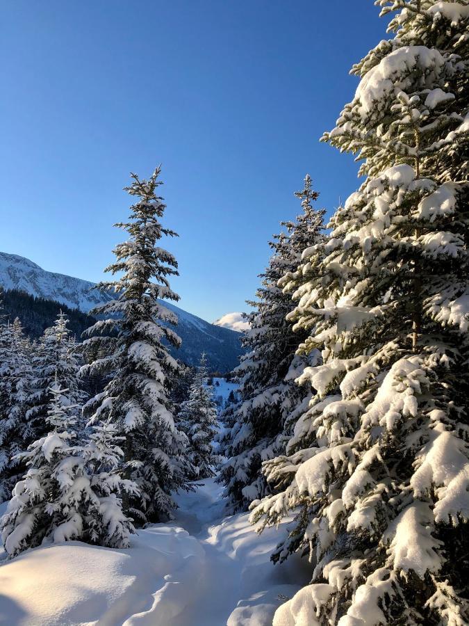 T2- 4Pers- Chamrousse Bachat Bouloud Daire Dış mekan fotoğraf