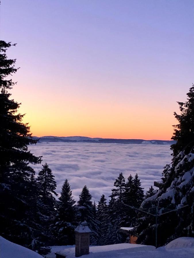 T2- 4Pers- Chamrousse Bachat Bouloud Daire Dış mekan fotoğraf