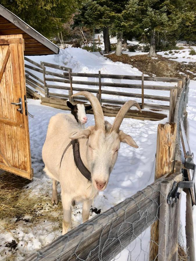 T2- 4Pers- Chamrousse Bachat Bouloud Daire Dış mekan fotoğraf