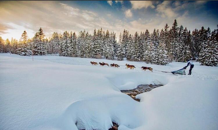 T2- 4Pers- Chamrousse Bachat Bouloud Daire Dış mekan fotoğraf